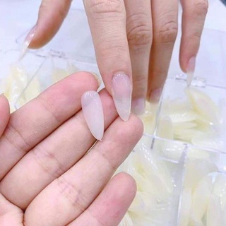 Móng úp tay HSM nhám  Oval ( tròn nhọn)