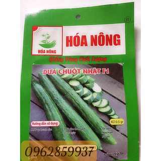 0.5 gram hạt giống dưa chuột f1 nhật dễ trồng