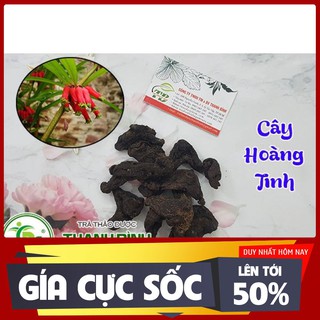 Cây Hoàng Tinh 500g - Hàng Công Ty Loại 1 - Cây Th.uốc Nam Thanh Bình