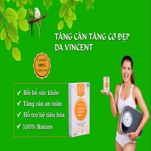 Tăng cân VINCENT thảo dược tăng cân- tăng cơ liệu trình 15 ngày tăng từ 1-3kg an toàn- hiệu quả , chính hãng