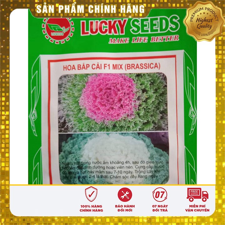 Hạt giống Hoa Bắp Cải nhiều màu LUCKY SEED ( 20 hạt)