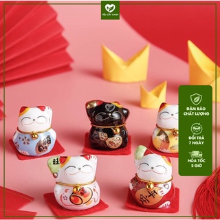 Bộ 5 Mèo Thần Tài Mini May Mắn Ngẫu Nhiên