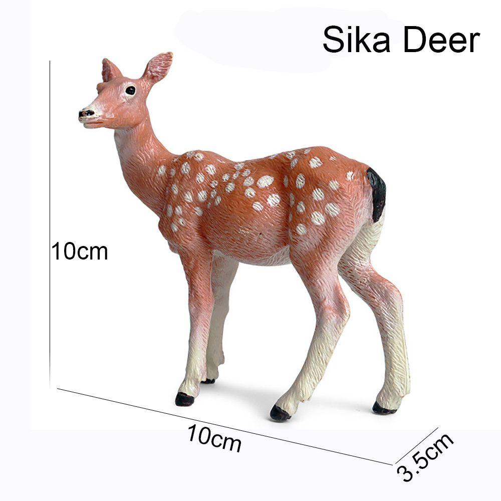 Mô Hình Hươu Sika Sống Động Như Thật Dùng Dạy Học