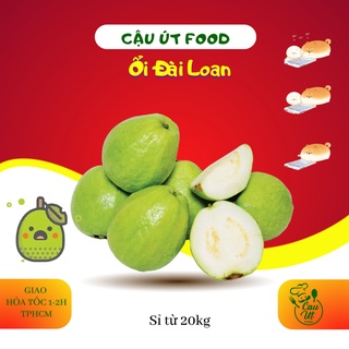 [Giao Nhanh Trong Ngày] Ổi Đài Loan Ngon Giòn Ngọt Cậu Út Food
