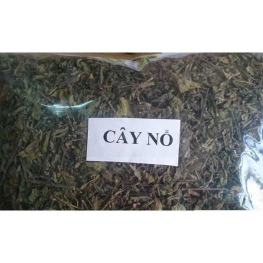 Cây nổ (sâm tanh tách) 1KG - VTT208