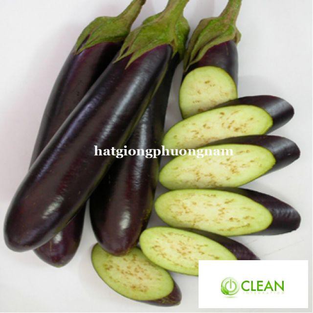 Hạt giống Cà Tím Dài F1 1gram