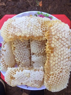 Mật Ong Hoa Cà Phê Nguyên Chất (1 lít)