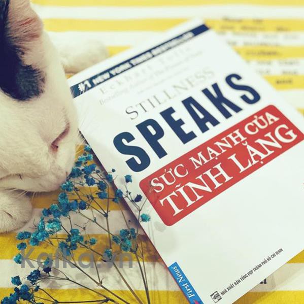 Sách - Sức mạnh của tĩnh lặng - First News