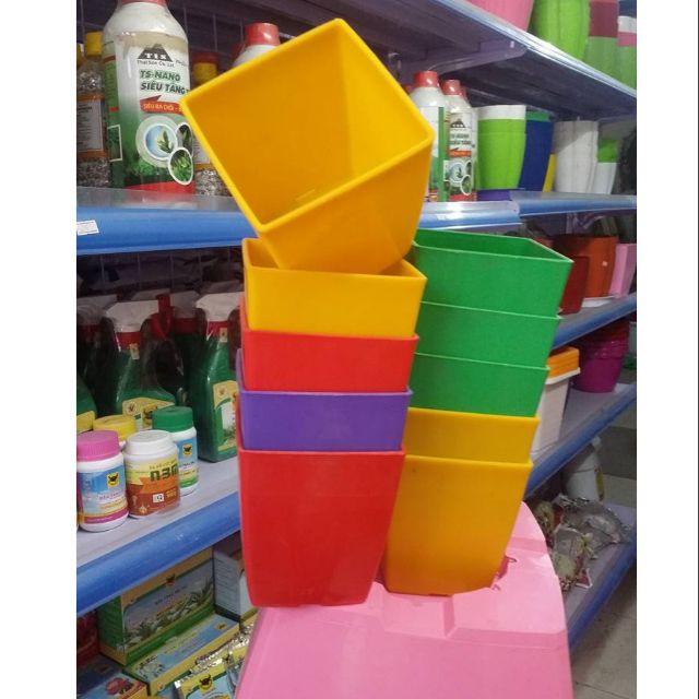 CHẬU mini trồng sen đá v9cm