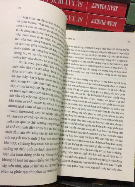 Sách - Sự ra đời trí khôn ở trẻ em ( bìa mềm )