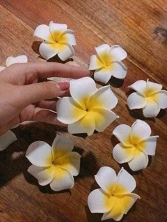 COMBO 600 HOA ĐẠI CÀI TÓC