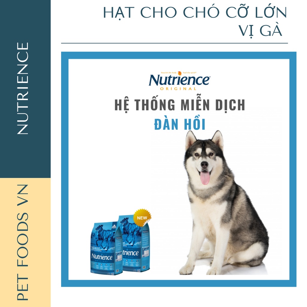 Hạt cho chó cỡ lớn NUTRIENCE Original Large Breed 11kg vị Gà