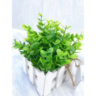 Cành Lá Ngâu 30cm - Cành điểm trang trí nhà cửa