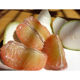 Combo 2 trái Bưởi Da Xanh Bến Tre (1kg~1,2kg/trái)