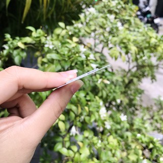 Cường lực Camera 9H iPhone Full Camera sau 11/11Pro/11ProMax
