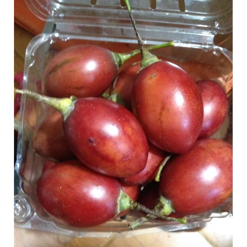 Cà chua thân gỗ Tamarillo Đà Lạt, 1kg quả tươi