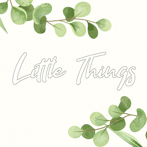 Little Things 2021, Cửa hàng trực tuyến | BigBuy360 - bigbuy360.vn