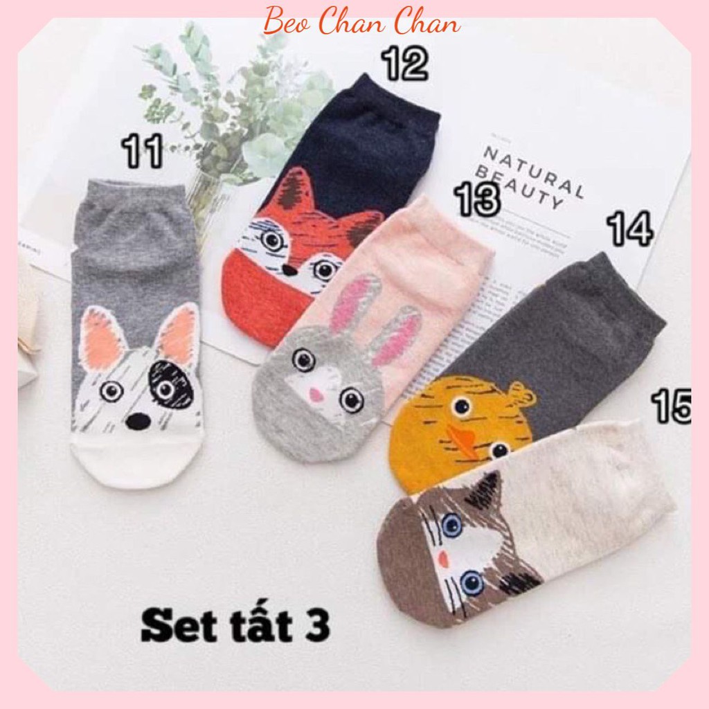 SET TẤT NGẮN CỔ NAM NHỮ MÈO , VỚ HÌNH THÚ HOẠT HÌNH CHẤT SIÊU ĐẸP