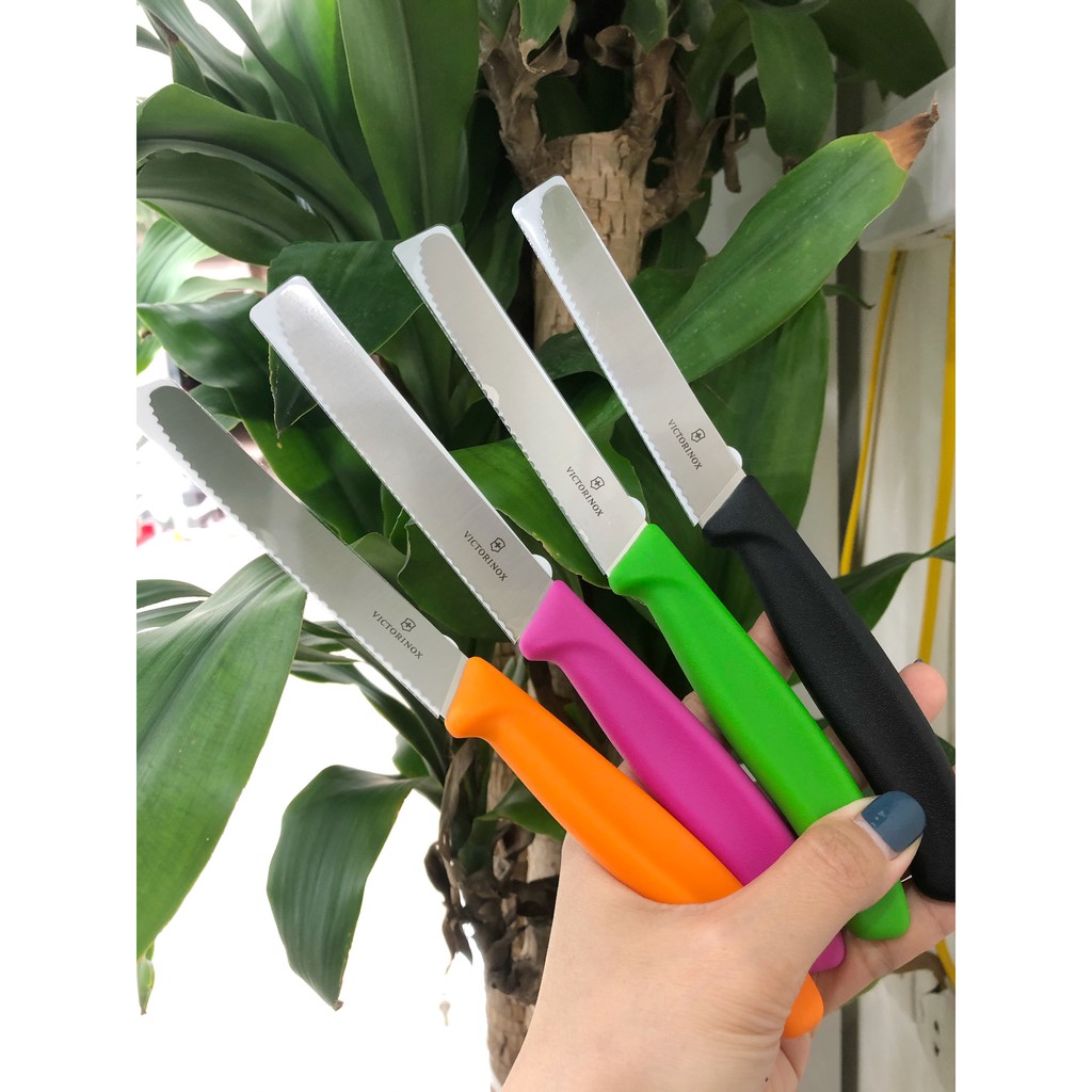 Dao răng cưa gọt hoa quả Thụy Sĩ  11cm cán nhựa nhiều màu