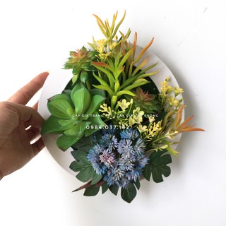 Hoa giả- Khung tranh cây sen đá giả, cây giả treo tường cỡ 20x20