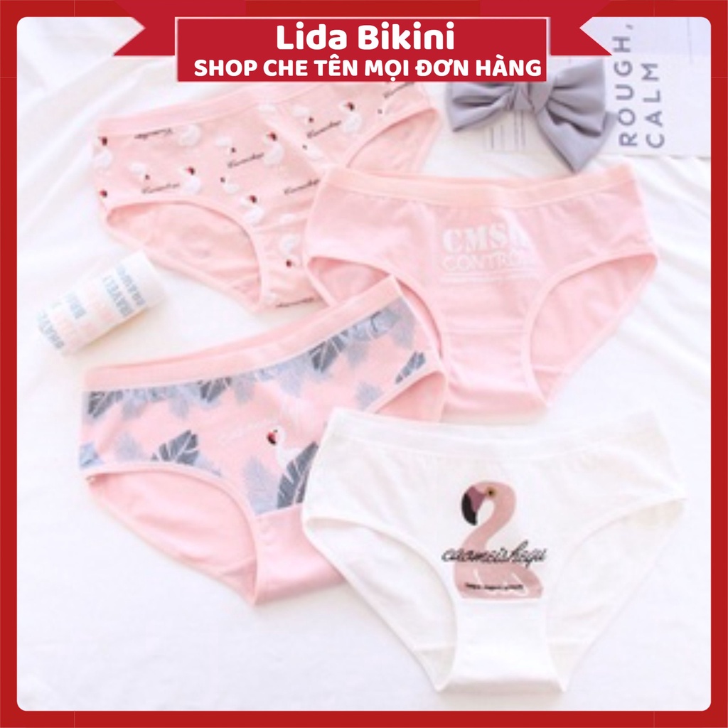 Quần Lót Nữ - Quần Lót Nữ Cotton kháng khuẩn mềm mại dễ thương tông hồng Flamingo DAN STORE MÃ B807