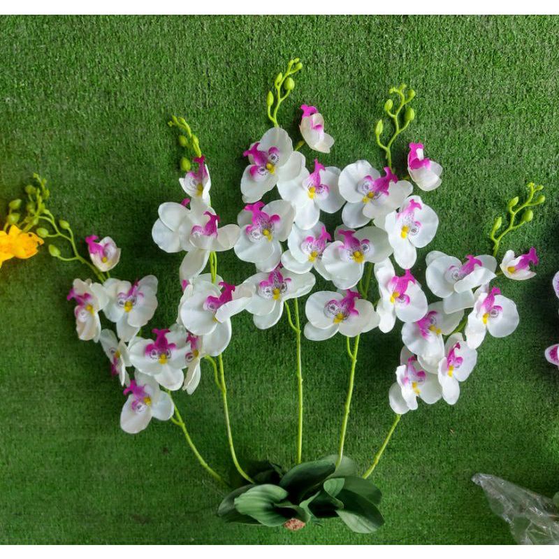 LAN TREO TƯỜNG.HÀNG ĐẸP ,GIÁ RẺ