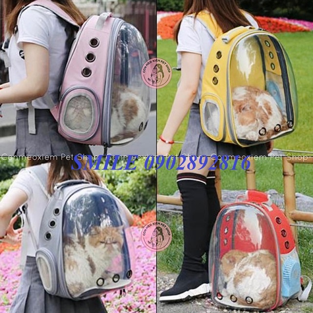 {MỚI VỀ} Balo Đựng Chó Mèo Trong Suốt Balo Phi Hành Gia Vận Chuyển Thú Cưng Tiện Lợi