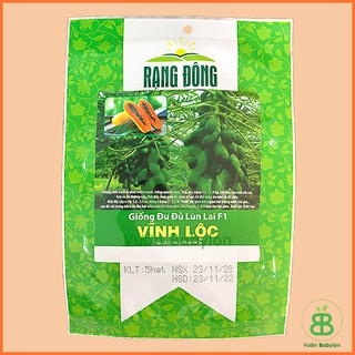 Hạt Giống Đu Đủ Lùn Rạng Đông, Trái Lớn, Sai Trái, Dễ Trồng, Tỉ lệ nảy mầm cao - Gói 5 Hạt