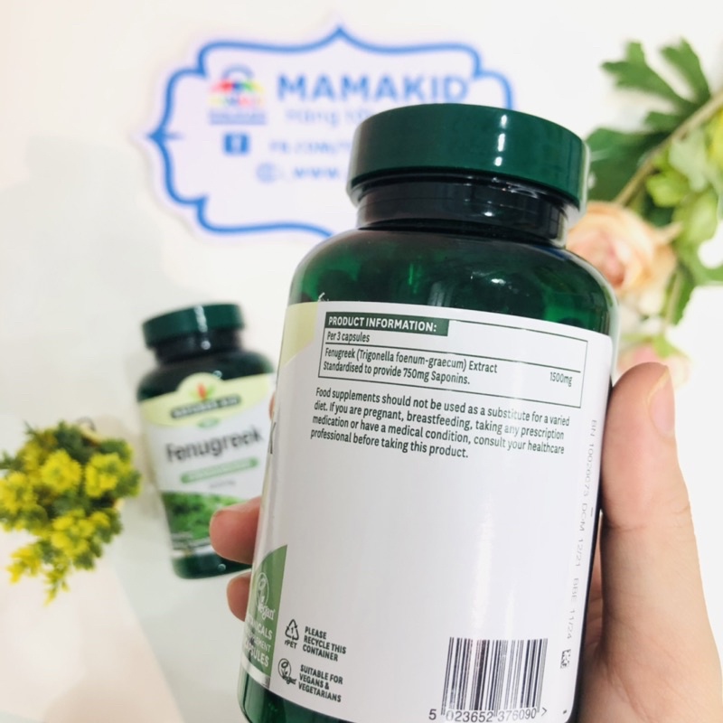 Cỏ cari lợi sữa, viên uống Fenugreek 500mg của Anh kích thích sữa mẹ tiết dồi dào