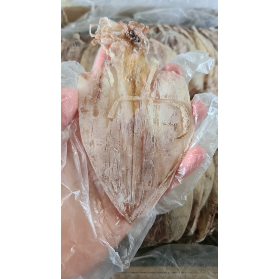  1Kg Mực Khô (Size 90 - 110 con 1kg) - Đặc Sản Thịnh Long JoJo Seafood | BigBuy360 - bigbuy360.vn