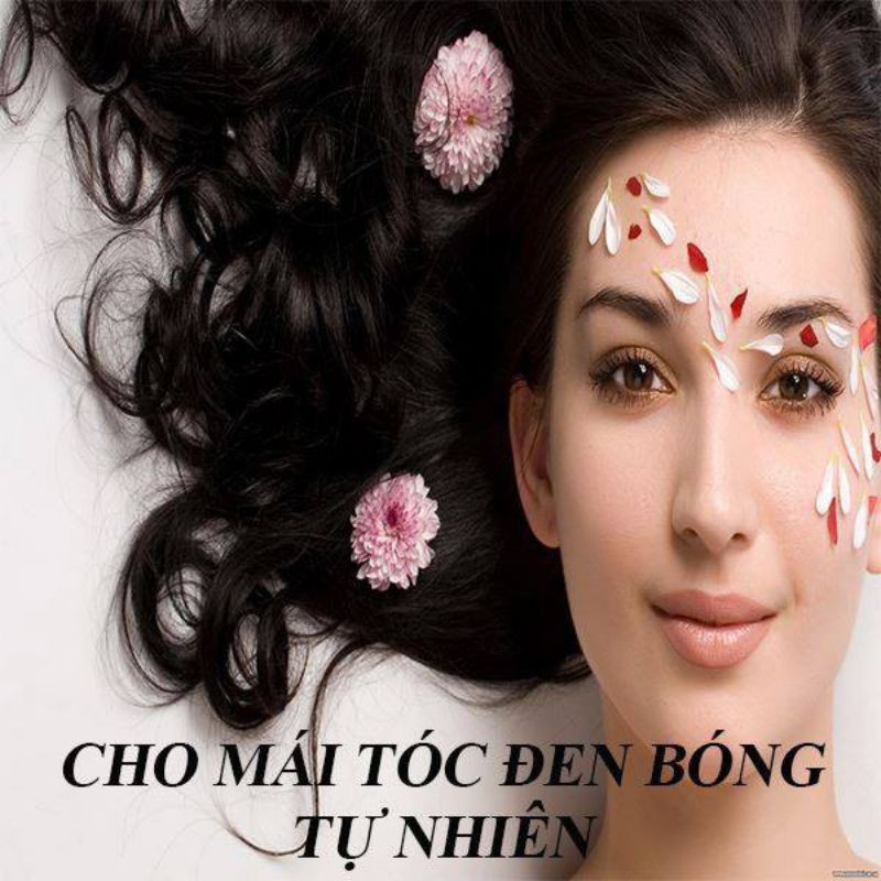 Nhuộm tóc dược liệu Thái Dương lẻ 1 gói