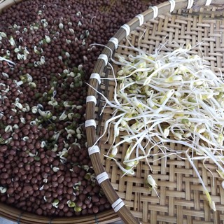 Đất sét nung POPPER_1 lít584