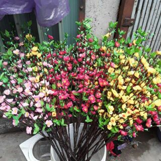 20 cành hoa mai đào giá sỉ loại 1m