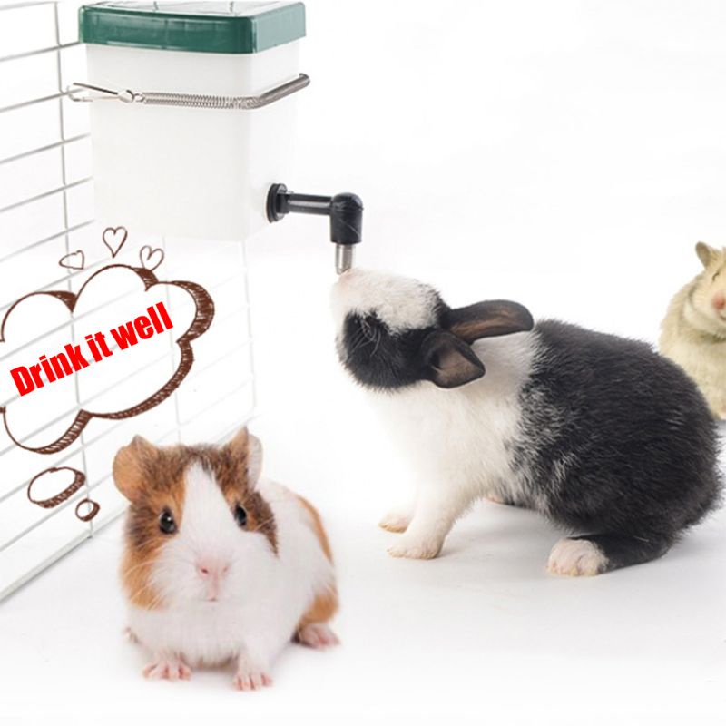 Bình đựng nước uống tự động dành cho thú cưng