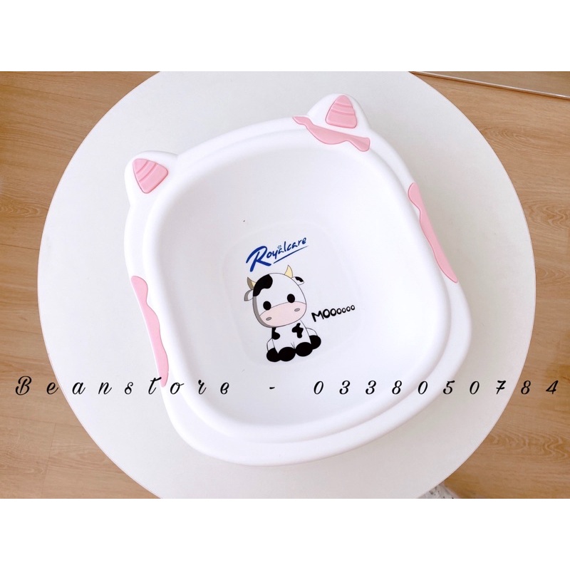 [ Hàng Mới Về ] Chậu bò Royal