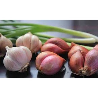 Hành khô kinh môn hải dương