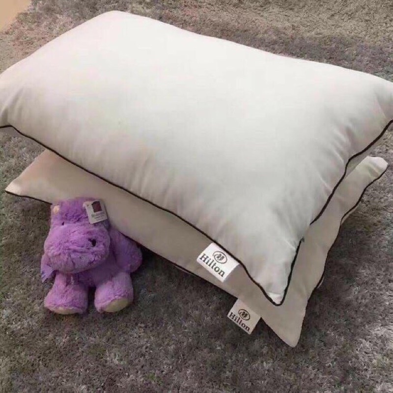 Ruột gối hơi cao cấp, gối nằm gối ngủ kích thước 50x70
