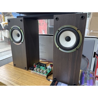[1 Chiếc] Củ Loa  Pioneer 10cm