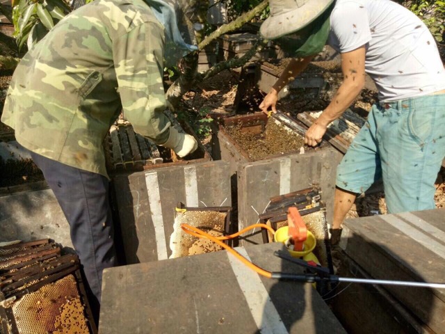 0.5 Lít mật ong hoa vải nguyên chất