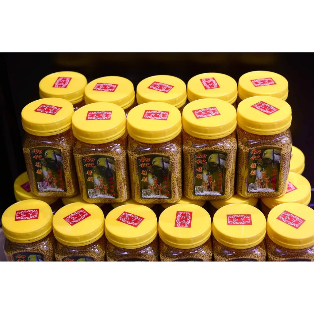 Cám Vàng  chim vành khuyên Tuấn Cóng