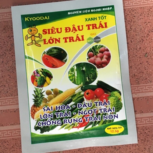 Siêu đậu trái lớn trái