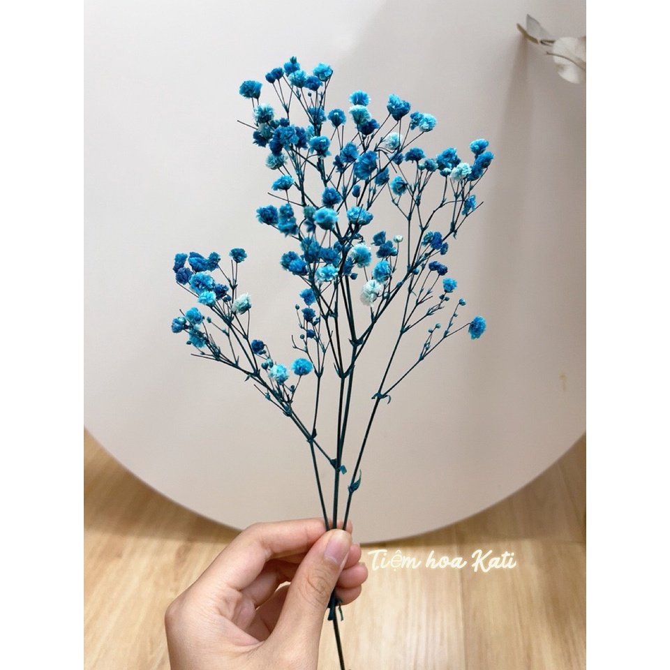 Hoa baby khô Quà tặng hoa khô Hoa Decor trang trí