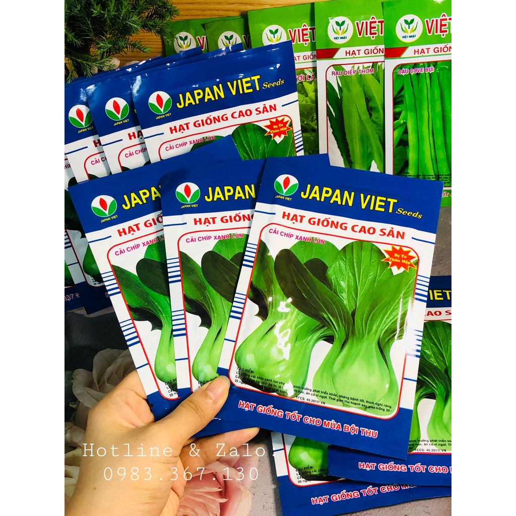 Hạt Giống Cao Sản Cải Chíp Xanh Lùn 20G