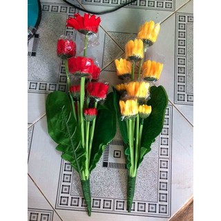 cụm Hoa đồng tiền vải lụa