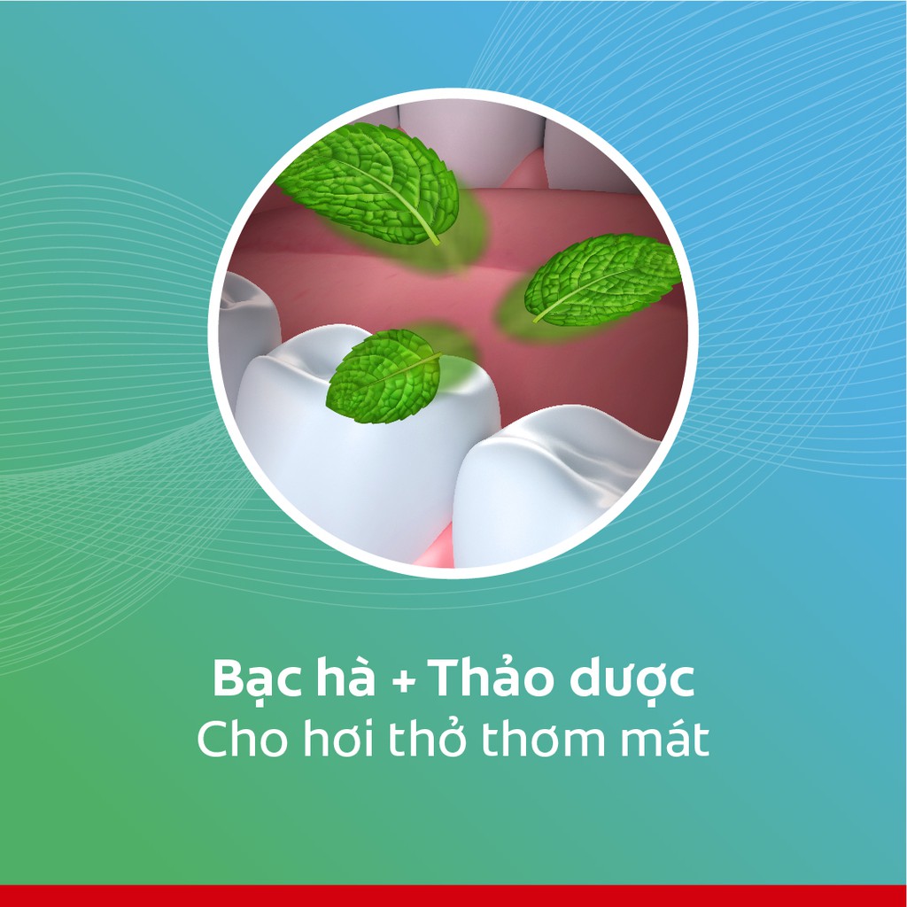 Kem Đánh Răng Colgate Herbal Salt Muối Thảo Dược bảo vệ răng và nướu tối ưu 225g/tuýp