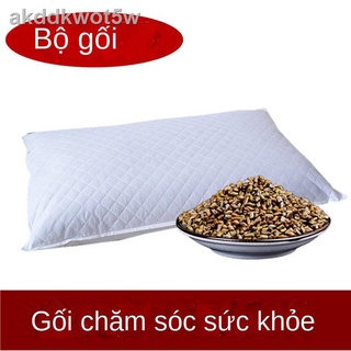 [Ảnh thật/Sẵn] ☞☬♀Gối hạt giống Cassia hoang dã cho trẻ em Người lớn chăm sóc sức khỏe đơn Bảo vệ cổ Ngủ cứng Hỗ trợ mát
