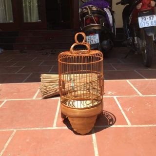 Lồng khuyên rẻ full pk