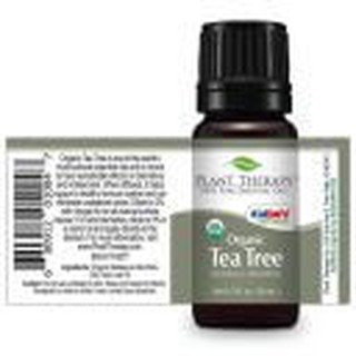 Plant Therapy - Tinh dầu tràm trà Tea tree organic