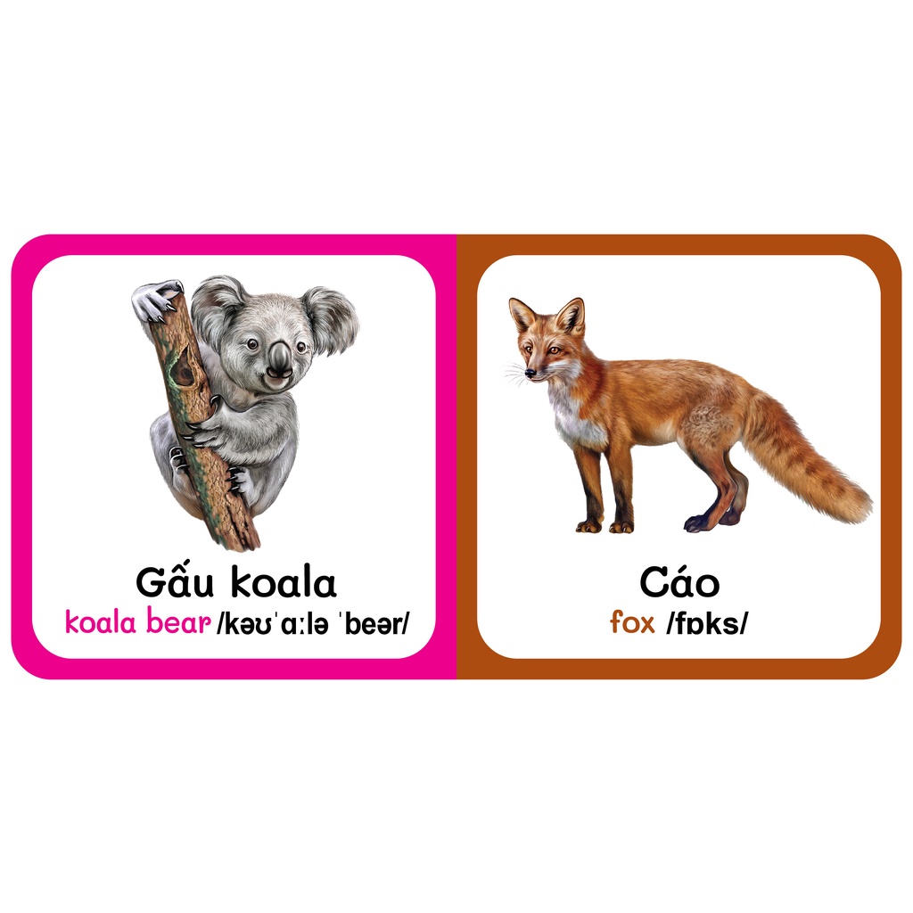 Sách - Baby'S First Picture Dictionary - Từ Điển Bằng Hình Đầu Tiên Của Bé - Động vật hoang dã - Wild Animals (Bìa Cứng)