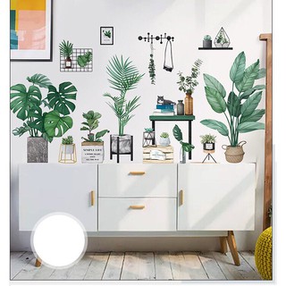 Decal dán tường Hàn Quốc mẫu chậu cây cỡ lớn 02